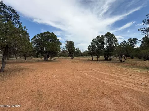 3048 Chevelon Rd, Overgaard, AZ 85933 photo 4