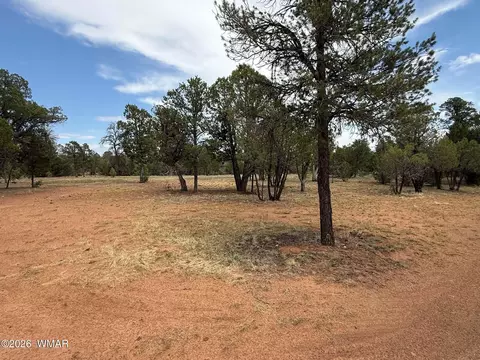 3048 Chevelon Rd, Overgaard, AZ 85933 photo 6