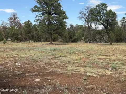 3048 Chevelon Rd, Overgaard, AZ 85933 photo 3