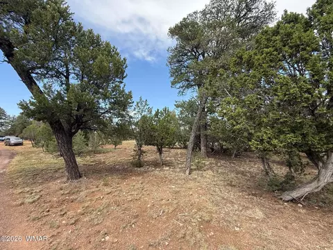 3048 Chevelon Rd, Overgaard, AZ 85933 photo 5