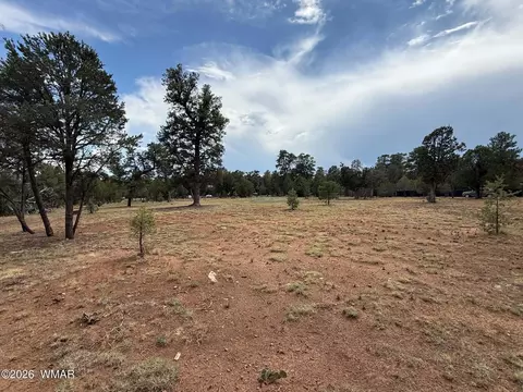 3048 Chevelon Rd, Overgaard, AZ 85933 photo 2