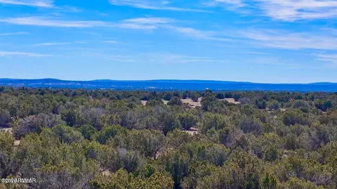9023 Appaloosa Lots C E Trl, Show Low, AZ 85901