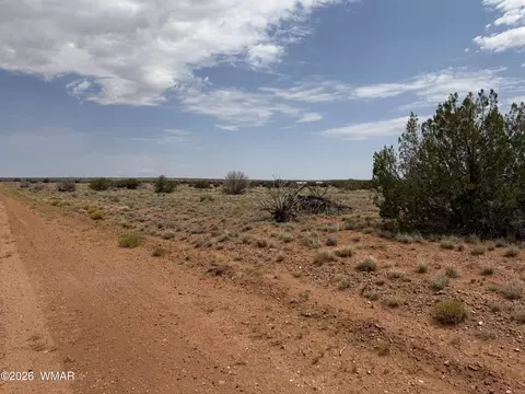 lot562 Chevelon Canyon Ranch Dr #4, Heber, AZ 85928