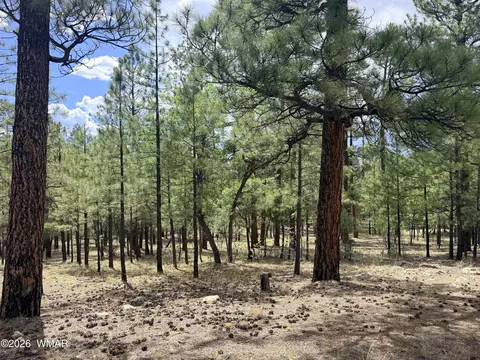 3212 Apache Dr, Happy Jack, AZ 86024