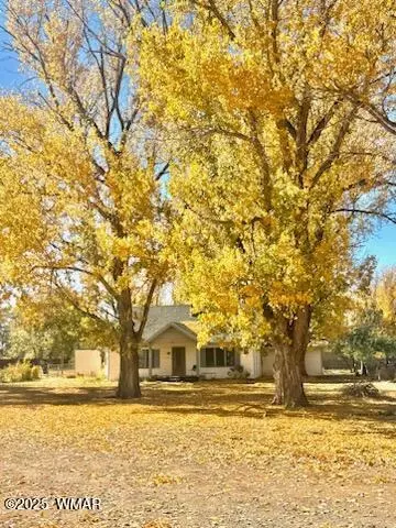 590 W 2nd St, Saint Johns, AZ 85936