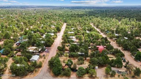 View/Area - 2961 Deer Trl, Overgaard, AZ 85933 photo 1 of 1