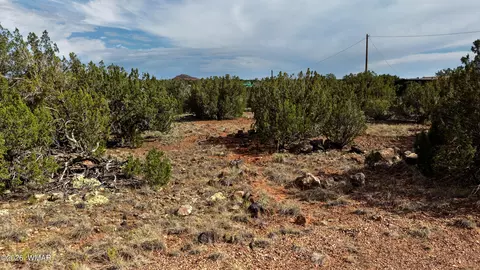 8577 Cannon Blvd, Show Low, AZ 85901