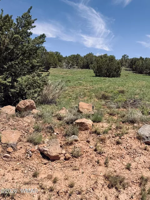 79 Co Rd, Concho, AZ 85924 photo 2