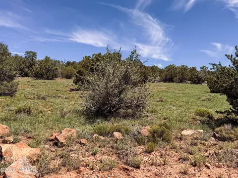 79 Co Rd, Concho, AZ 85924 photo 3