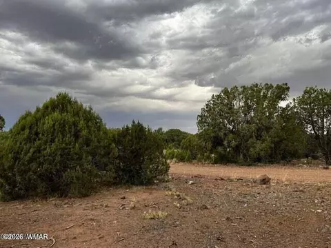 3845 Apache Rd, Snowflake, AZ 85937 photo 3