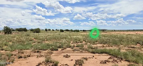 tbd 22 Ac, Snowflake, AZ 85937 photo 15
