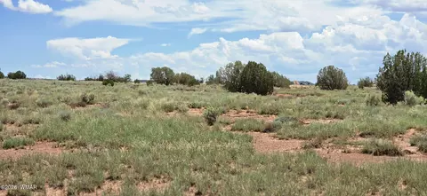 tbd 22 Ac, Snowflake, AZ 85937 photo 12