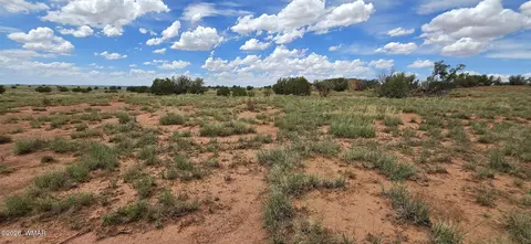 tbd 22 Ac, Snowflake, AZ 85937 photo 23