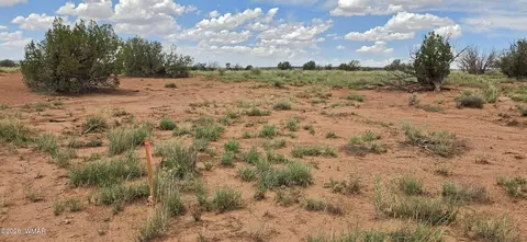 tbd 22 Ac, Snowflake, AZ 85937 photo 21
