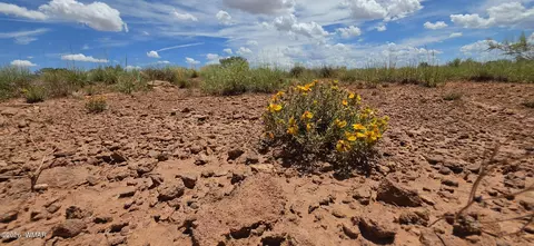 tbd 22 Ac, Snowflake, AZ 85937 photo 9