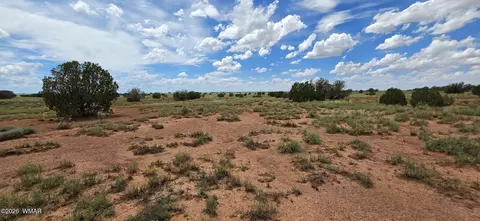 tbd 22 Ac, Snowflake, AZ 85937 photo 25