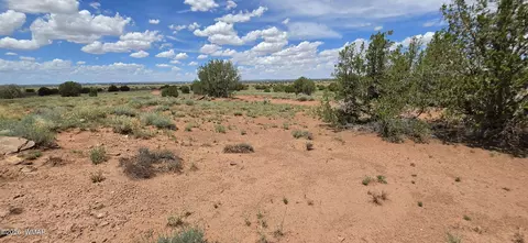 tbd 22 Ac, Snowflake, AZ 85937 photo 4