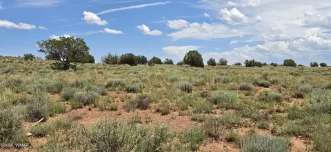 tbd 22 Ac, Snowflake, AZ 85937 photo 11