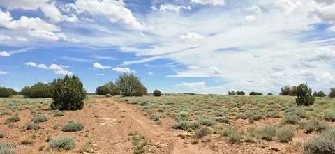 tbd 22 Ac, Snowflake, AZ 85937 photo 19