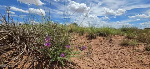tbd 22 Ac, Snowflake, AZ 85937 photo 10