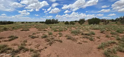 tbd 22 Ac, Snowflake, AZ 85937 photo 24
