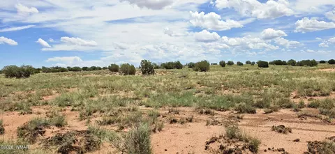 tbd 22 Ac, Snowflake, AZ 85937 photo 16