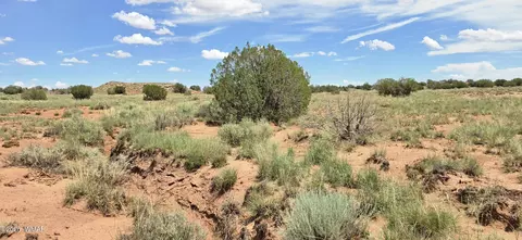 tbd 22 Ac, Snowflake, AZ 85937 photo 17