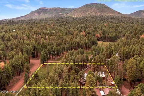 11 Whitetail Rd, Alpine, AZ 85920 photo 45