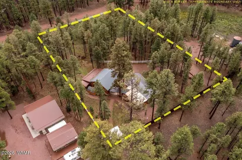 11 Whitetail Rd, Alpine, AZ 85920 photo 47