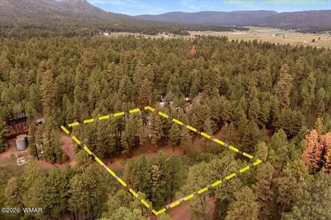 11 Whitetail Rd, Alpine, AZ 85920 photo 42