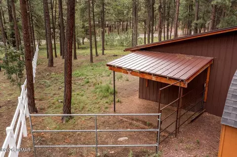 11 Whitetail Rd, Alpine, AZ 85920 photo 40