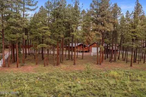 11 Whitetail Rd, Alpine, AZ 85920 photo 41