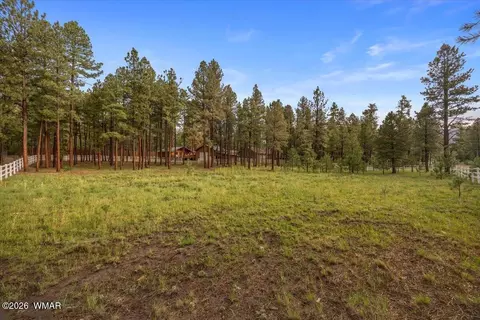 11 Whitetail Rd, Alpine, AZ 85920 photo 8