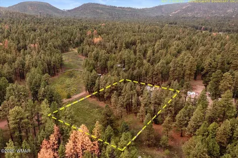 11 Whitetail Rd, Alpine, AZ 85920 photo 44