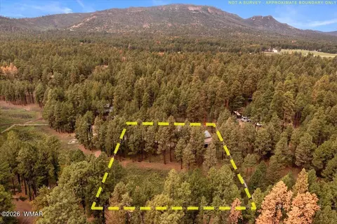 11 Whitetail Rd, Alpine, AZ 85920 photo 43