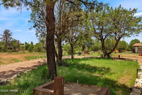 3351 Apache Dr, Overgaard, AZ 85933 photo 4