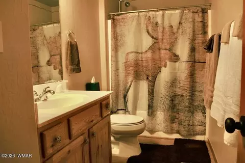 Bath - 2334 S Buffalo Loop, Overgaard, AZ 85933 photo 1 of 1