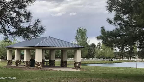 Other - 2334 S Buffalo Loop, Overgaard, AZ 85933 photo 10 of 12