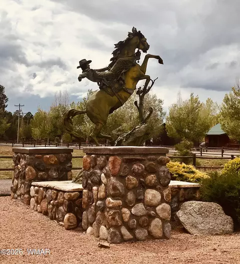 Other - 2334 S Buffalo Loop, Overgaard, AZ 85933 photo 11 of 12