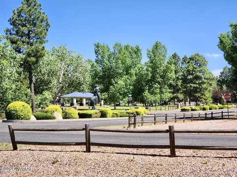 Exterior - 2334 S Buffalo Loop, Overgaard, AZ 85933 photo 3 of 11