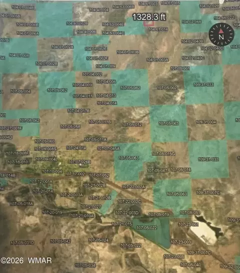 80 Acres, Joseph City, AZ 86032