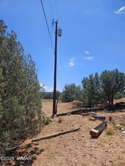 3981 Apache Rd, Snowflake, AZ 85937 photo 17