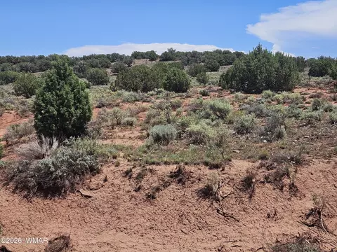 3981 Apache Rd, Snowflake, AZ 85937 photo 14
