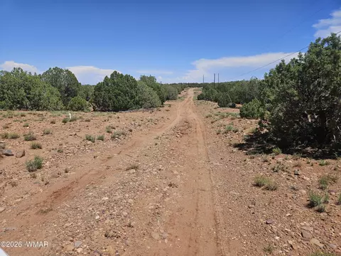 3981 Apache Rd, Snowflake, AZ 85937 photo 16