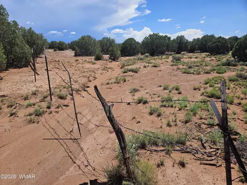 3981 Apache Rd, Snowflake, AZ 85937 photo 5