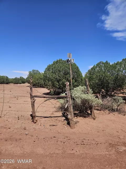3981 Apache Rd, Snowflake, AZ 85937 photo 3