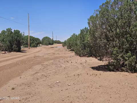 3981 Apache Rd, Snowflake, AZ 85937 photo 10