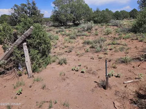 3981 Apache Rd, Snowflake, AZ 85937 photo 7