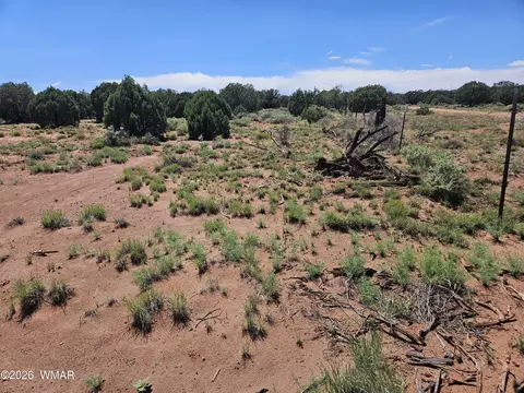 3981 Apache Rd, Snowflake, AZ 85937 photo 4
