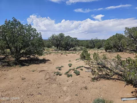 3981 Apache Rd, Snowflake, AZ 85937 photo 15